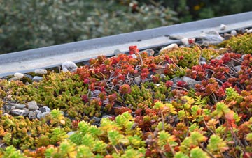the cost of Gipping green roof installation