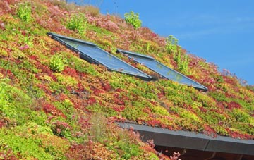Gipping living roof systems