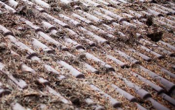 Gipping roof cleaning companies